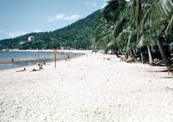 La plage des cocotiers Cap Saint-Jacques