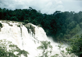 The Gougah Falls Dalat