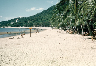 La plage des cocotiers Cap Saint-Jacques 1955