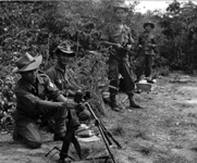 Combattants vietnamiens dans l'armée française