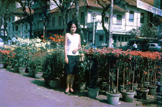 Flowers Nguyen Hue Boulevard Saigon
