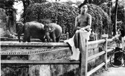 Le Zoo de Saigon